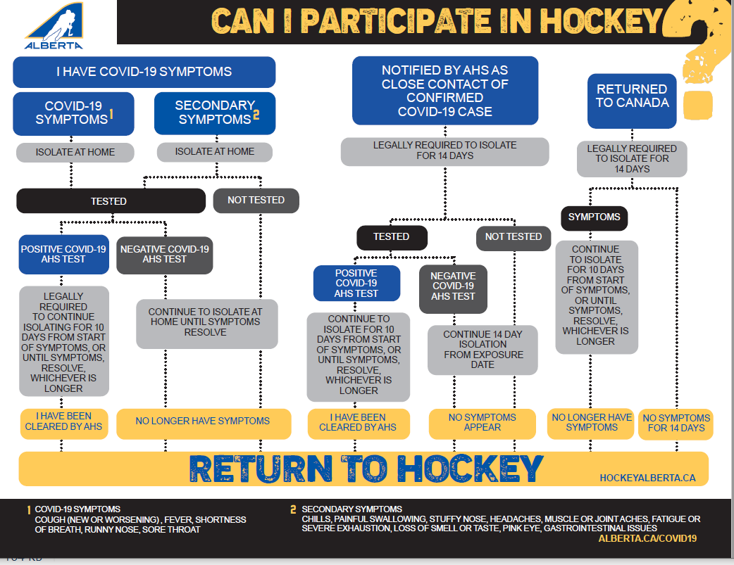 Return to Play Flow Chart